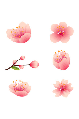 粉色日本樱花花朵花瓣花卉春天png元素